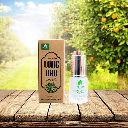 Tinh dầu long não Thái Vân 10ml